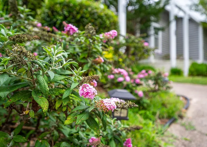 The Cozy Cottage - 10 Min From Unc